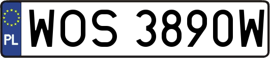 WOS3890W
