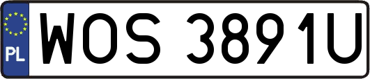 WOS3891U