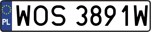 WOS3891W