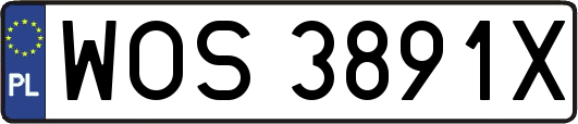 WOS3891X