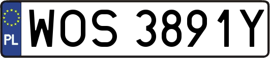 WOS3891Y