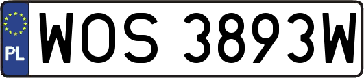 WOS3893W