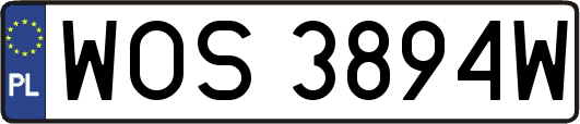 WOS3894W
