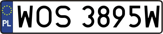 WOS3895W