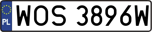 WOS3896W