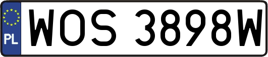 WOS3898W