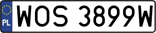 WOS3899W