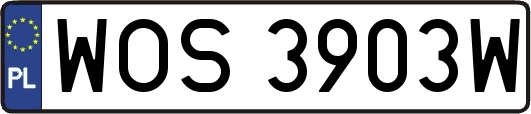 WOS3903W