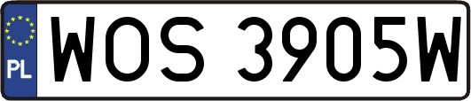 WOS3905W