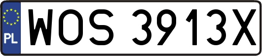 WOS3913X