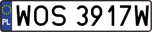 WOS3917W