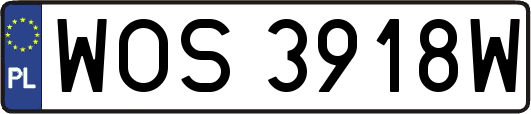 WOS3918W