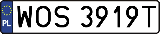 WOS3919T