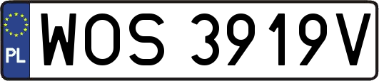 WOS3919V