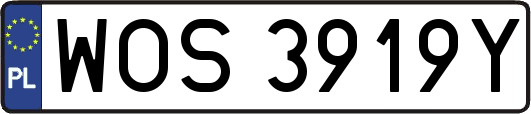 WOS3919Y