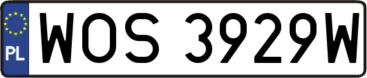 WOS3929W