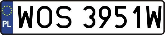WOS3951W