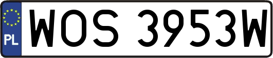 WOS3953W