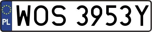 WOS3953Y