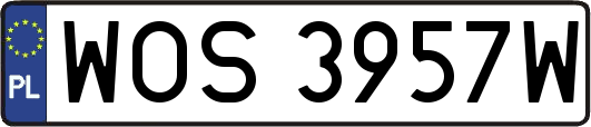 WOS3957W
