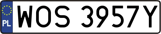 WOS3957Y