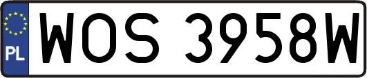 WOS3958W