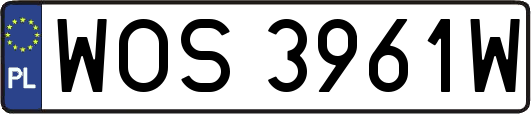 WOS3961W