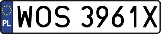 WOS3961X