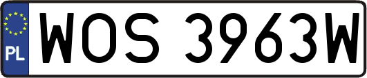 WOS3963W