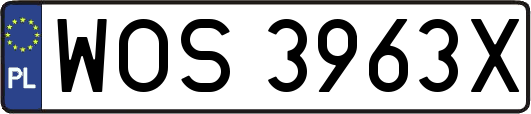 WOS3963X