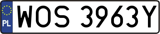 WOS3963Y