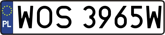 WOS3965W