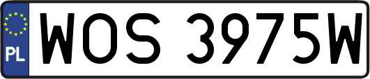 WOS3975W