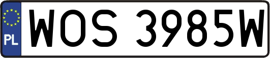 WOS3985W