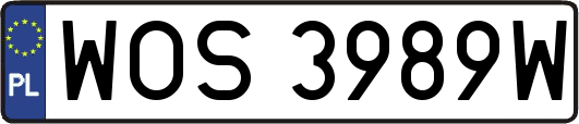 WOS3989W