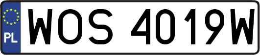 WOS4019W