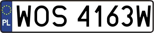 WOS4163W