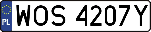 WOS4207Y
