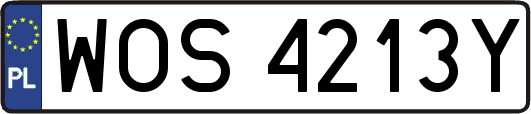 WOS4213Y