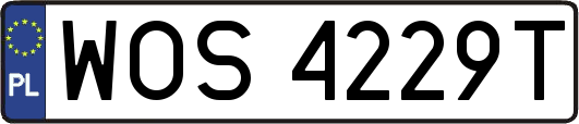 WOS4229T