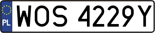 WOS4229Y