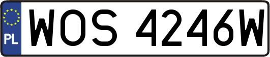 WOS4246W