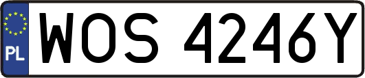 WOS4246Y