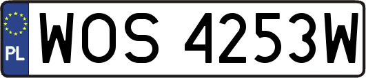 WOS4253W