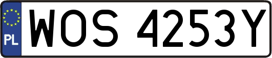 WOS4253Y