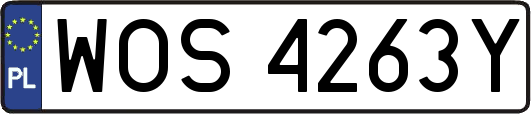 WOS4263Y