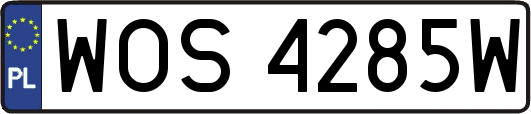 WOS4285W