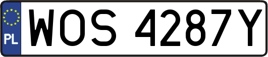 WOS4287Y