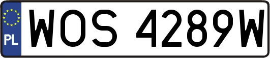 WOS4289W