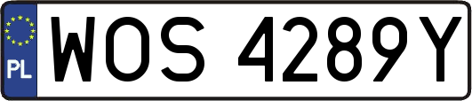 WOS4289Y